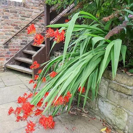 Vakantiehuis River Forge Whitby