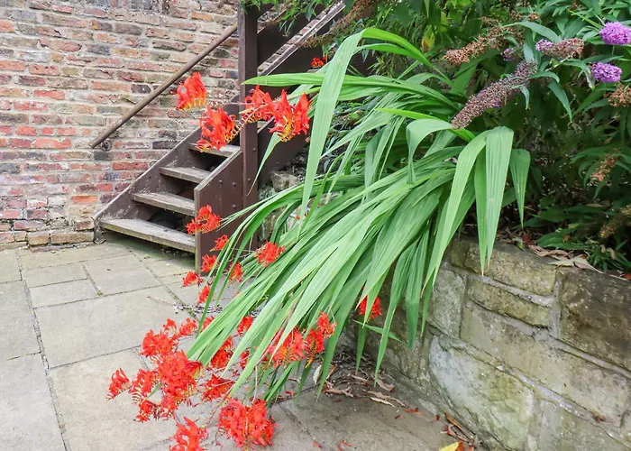 Casa vacanze River Forge Whitby