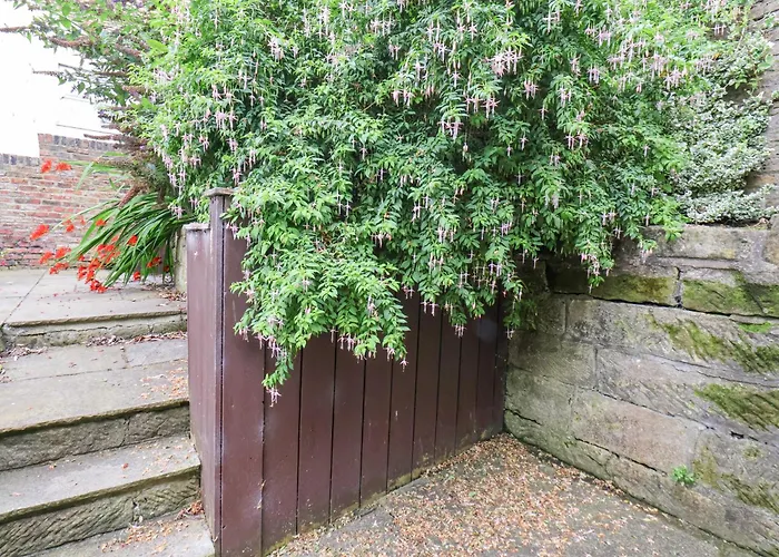 River Forge וויטבי