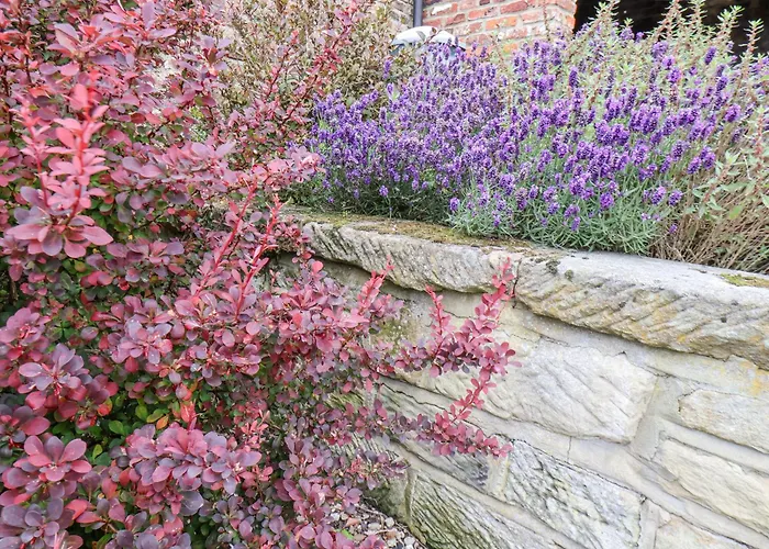 River Forge וויטבי